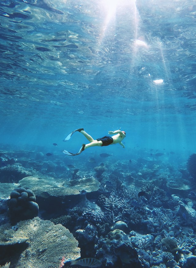 Tauchen Sie ein ins Abenteuer: Ein umfassender Leitfaden zum Hurghada Diving Center
